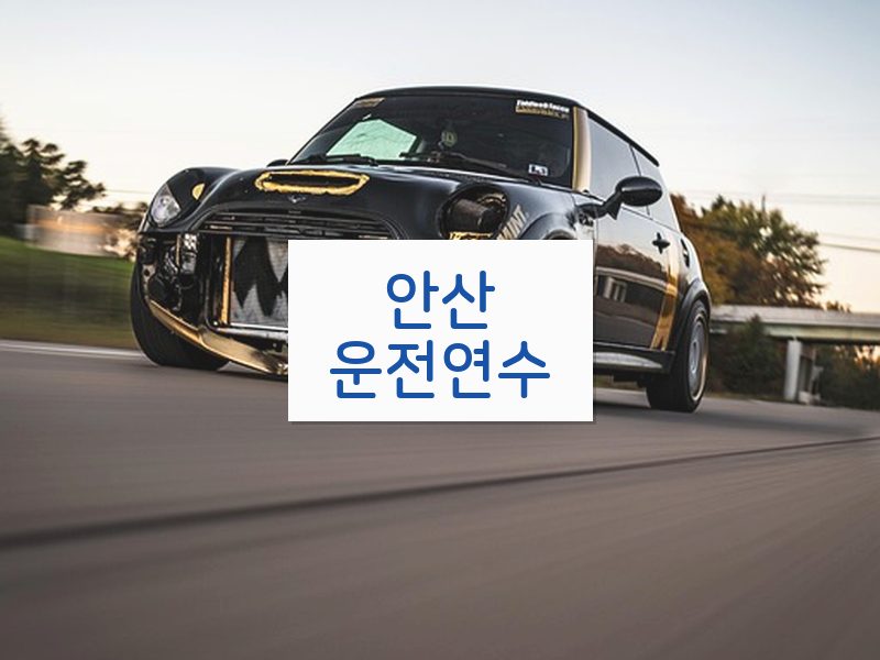 안산운전연수 후기