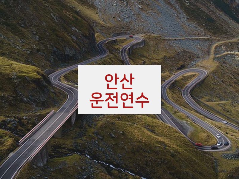 안산운전연수 후기