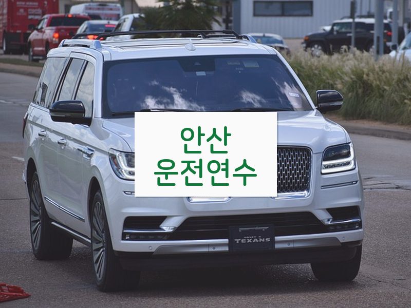 안산운전연수 후기