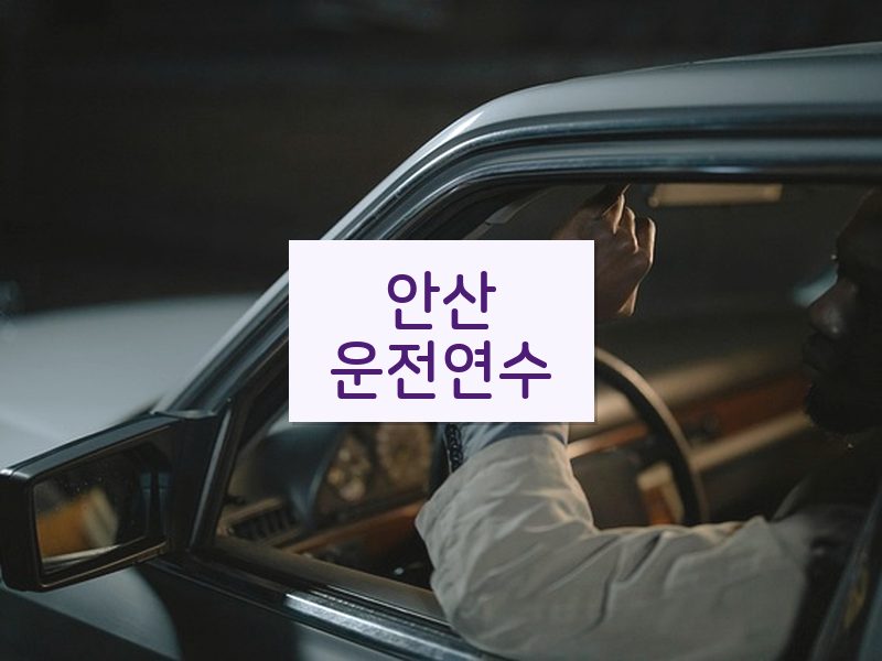 안산운전연수 후기