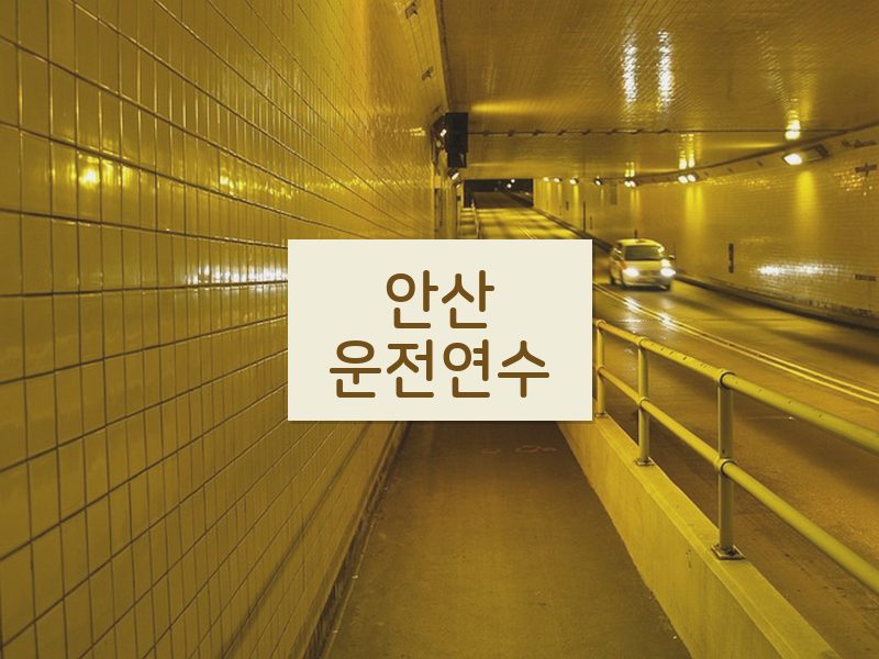 안산운전연수 후기