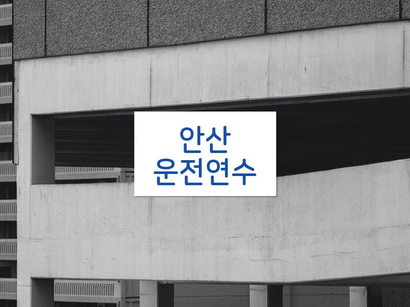 안산운전연수 후기