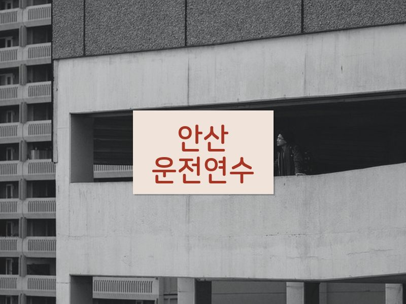 안산운전연수 후기