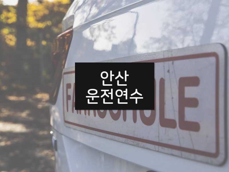 안산운전연수 후기