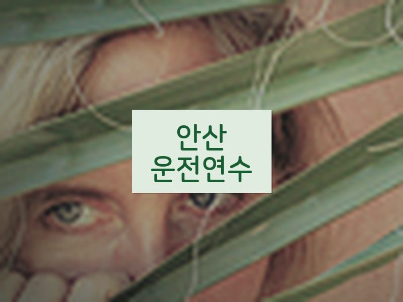 안산운전연수 후기