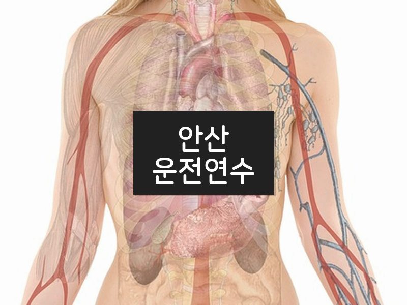 안산운전연수 후기