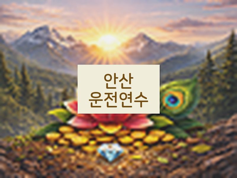 안산운전연수 후기