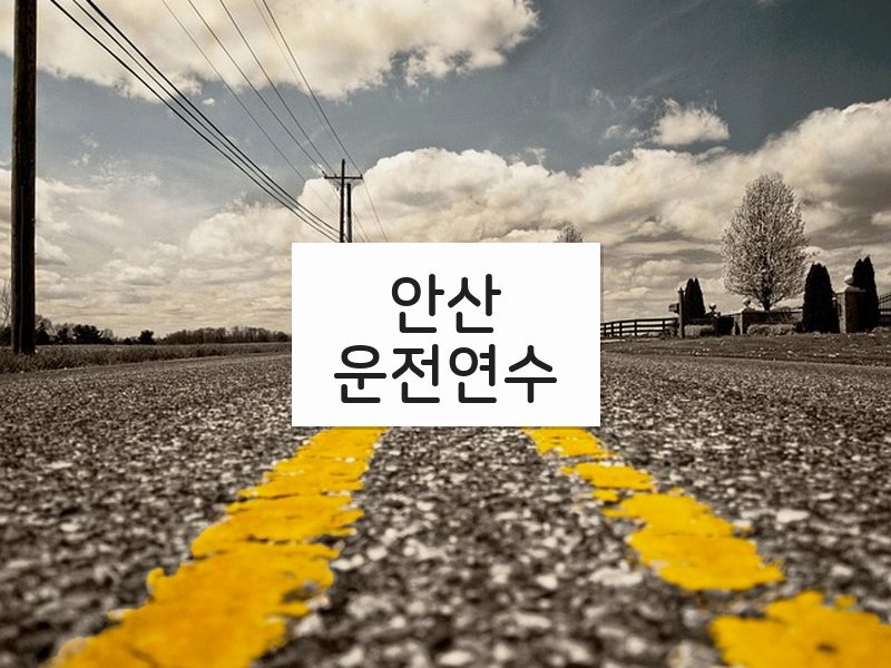 안산운전연수 후기