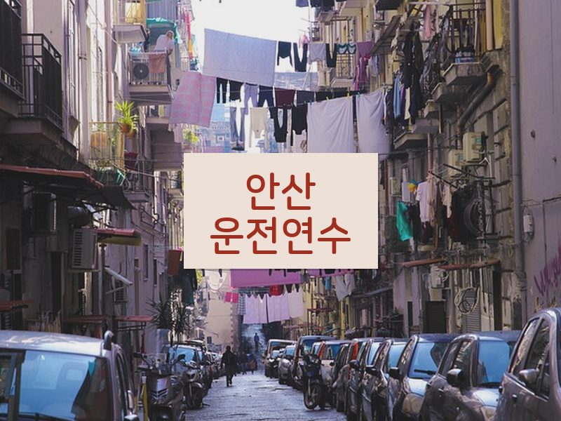 안산운전연수 후기