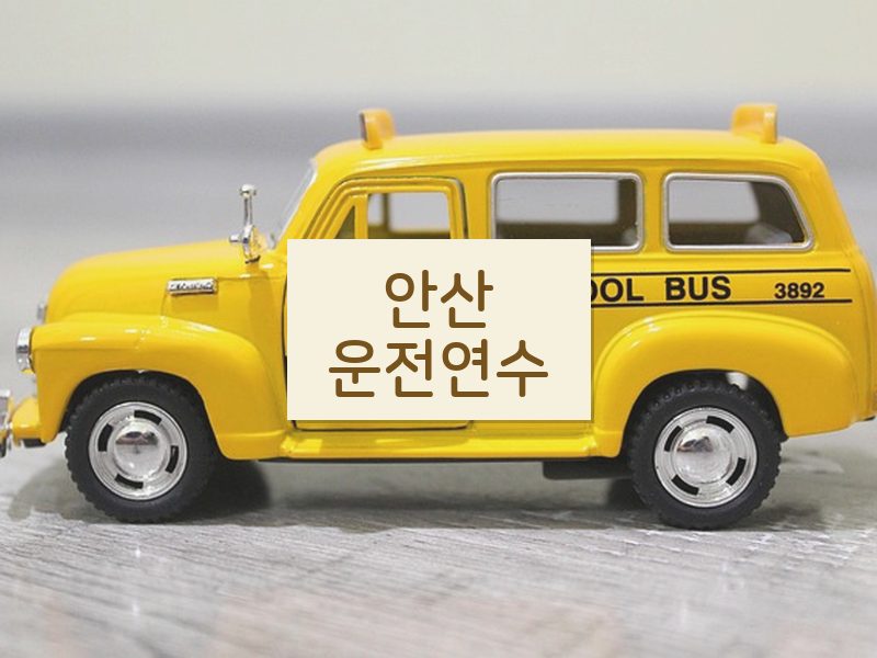안산운전연수 후기