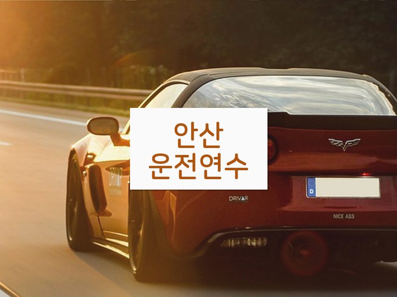 안산운전연수 후기