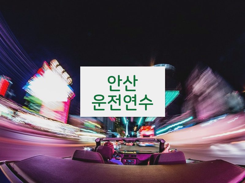 안산운전연수 후기