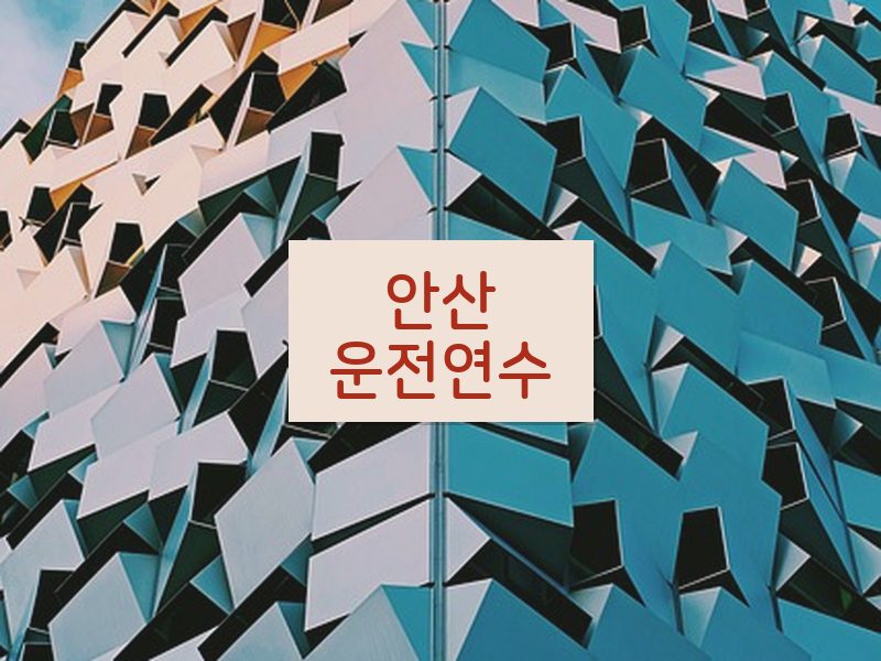 안산운전연수 후기