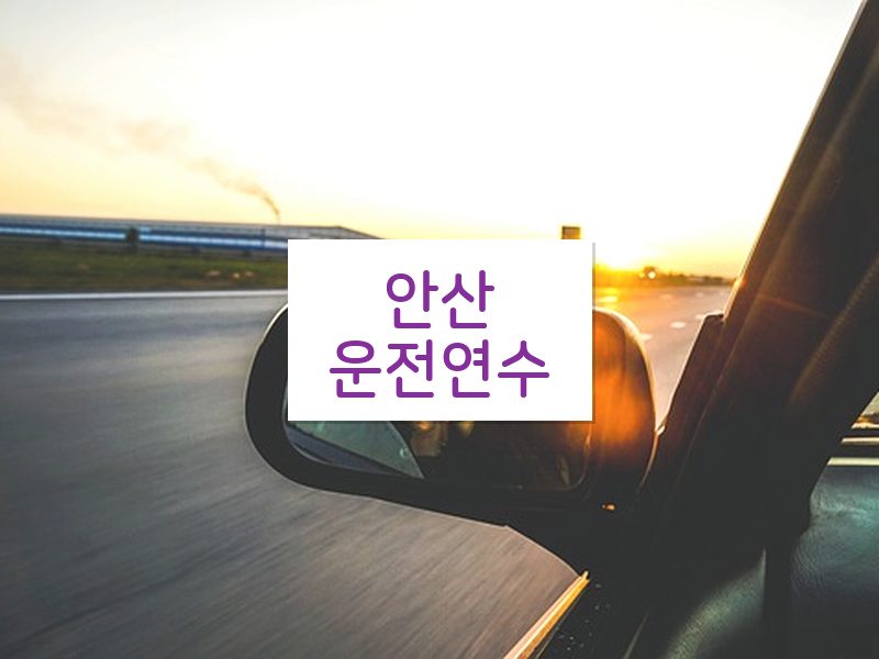 안산운전연수 후기