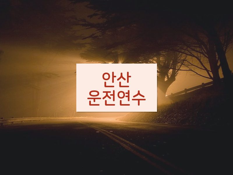안산운전연수 후기