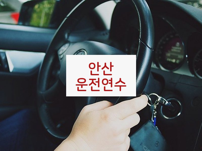 안산운전연수 후기