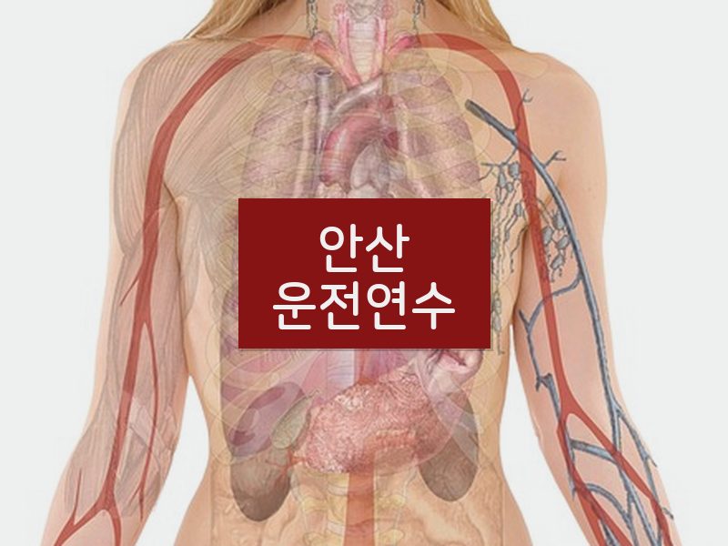 안산운전연수 후기