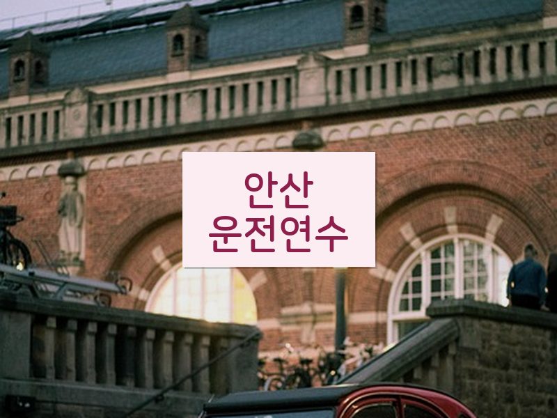 안산운전연수 후기