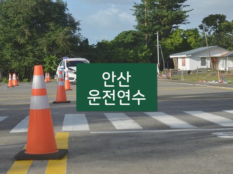 안산운전연수 후기