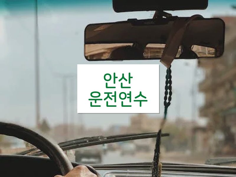 안산운전연수 후기
