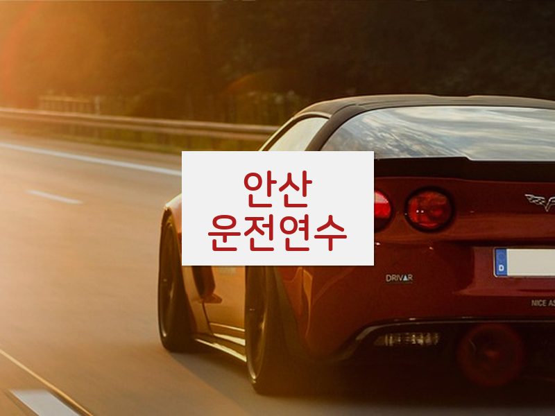 안산운전연수 후기