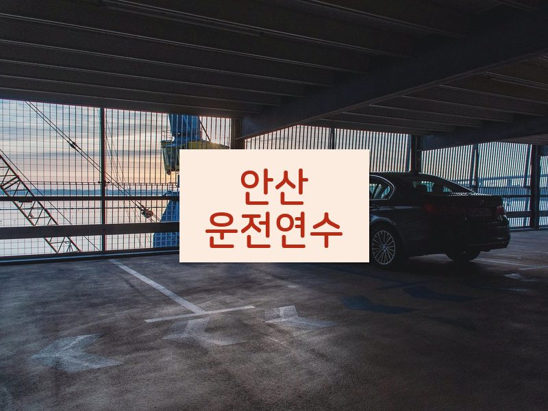 안산운전연수 후기