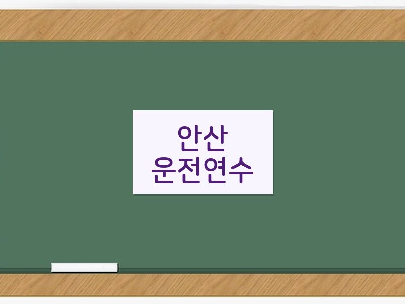 안산운전연수 후기