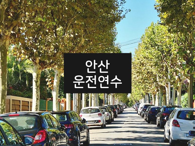 안산운전연수 후기