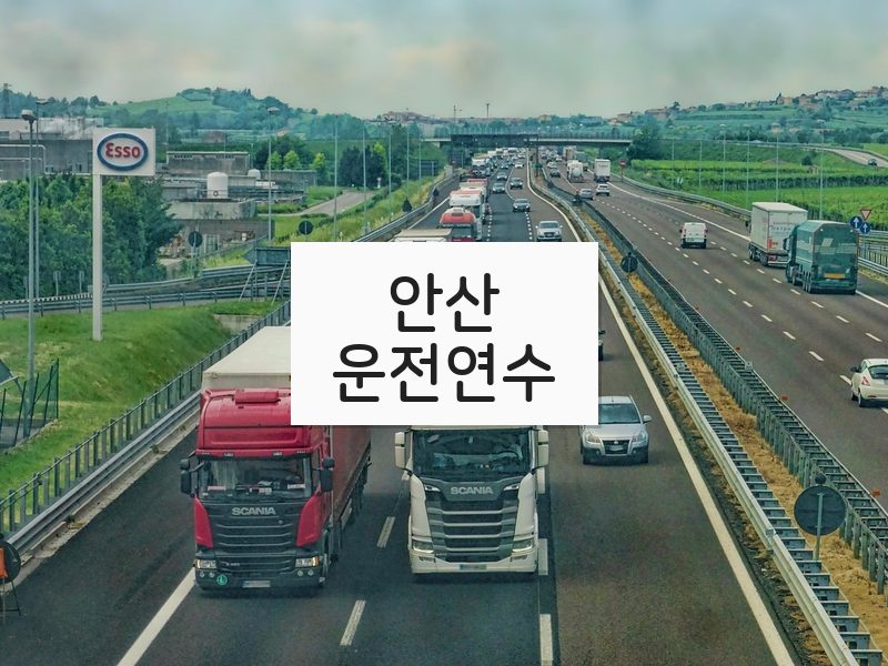 안산운전연수 후기