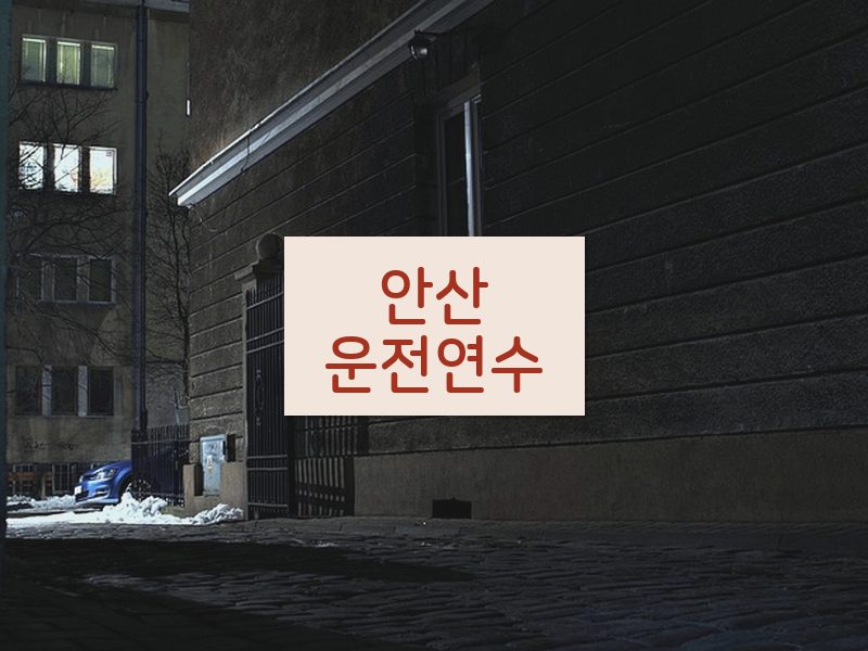 안산운전연수 후기