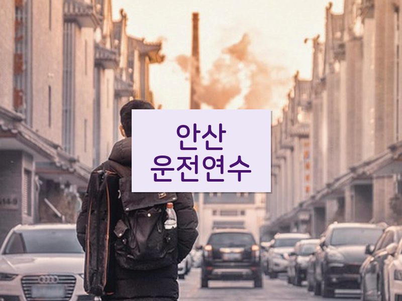 안산운전연수 후기