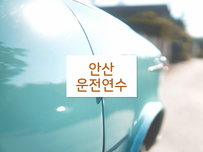 안산운전연수 후기
