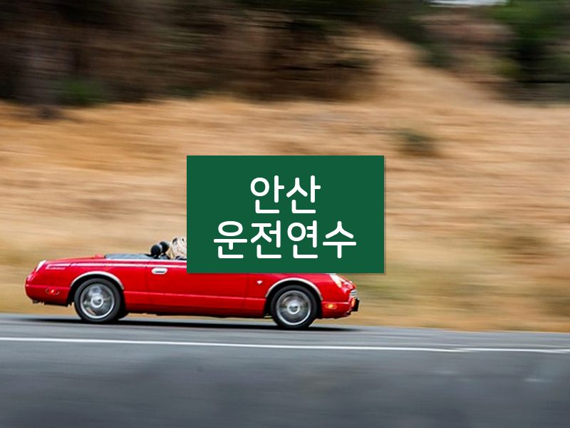 안산운전연수 후기