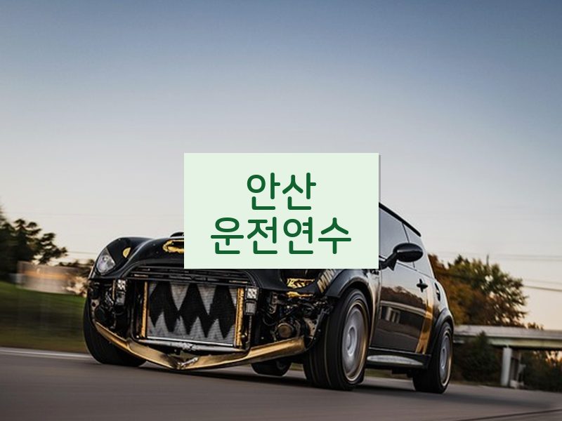 안산운전연수 후기