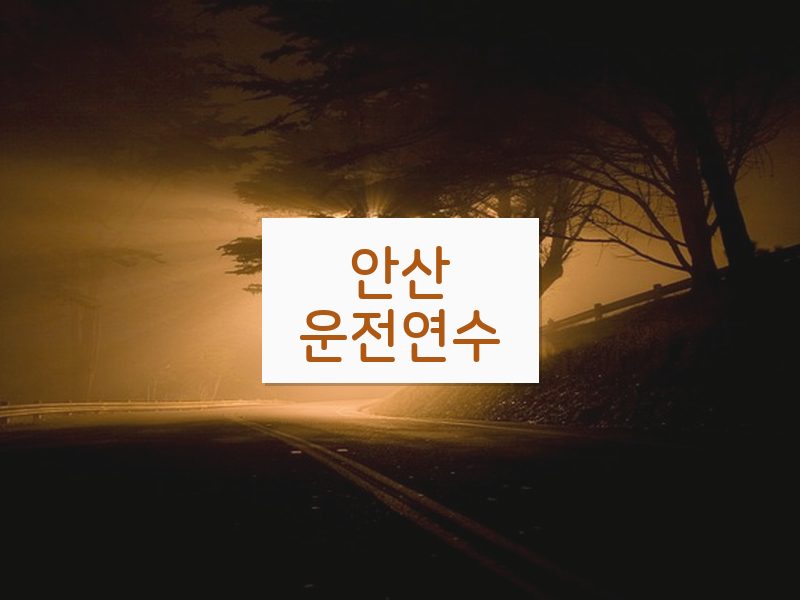 안산운전연수 후기