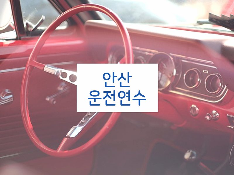 안산운전연수 후기
