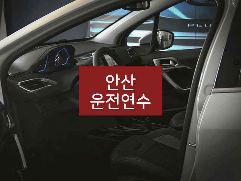 안산운전연수 후기