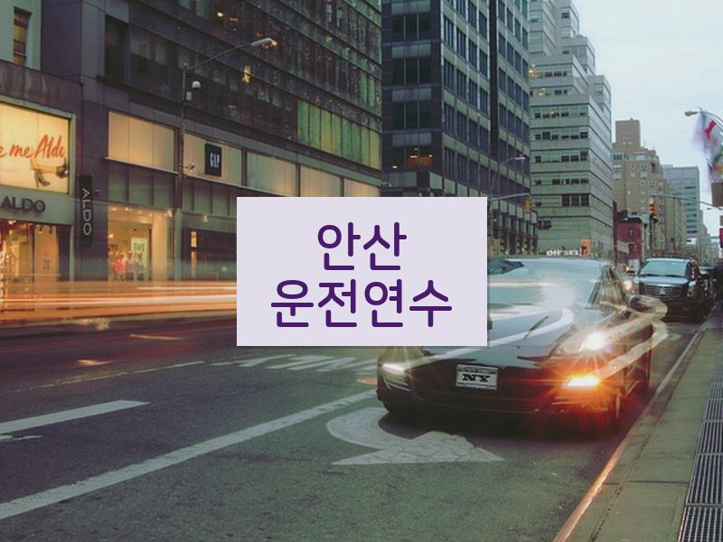 안산운전연수 후기