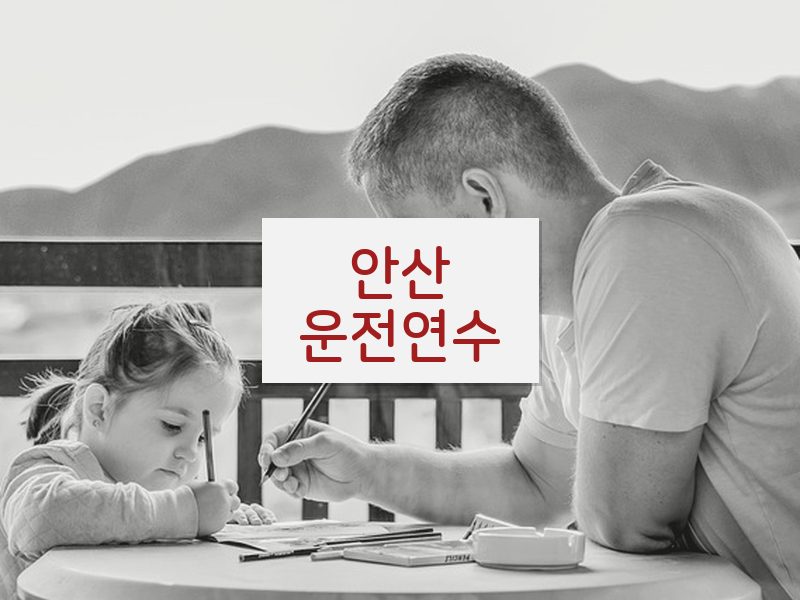 안산운전연수 후기