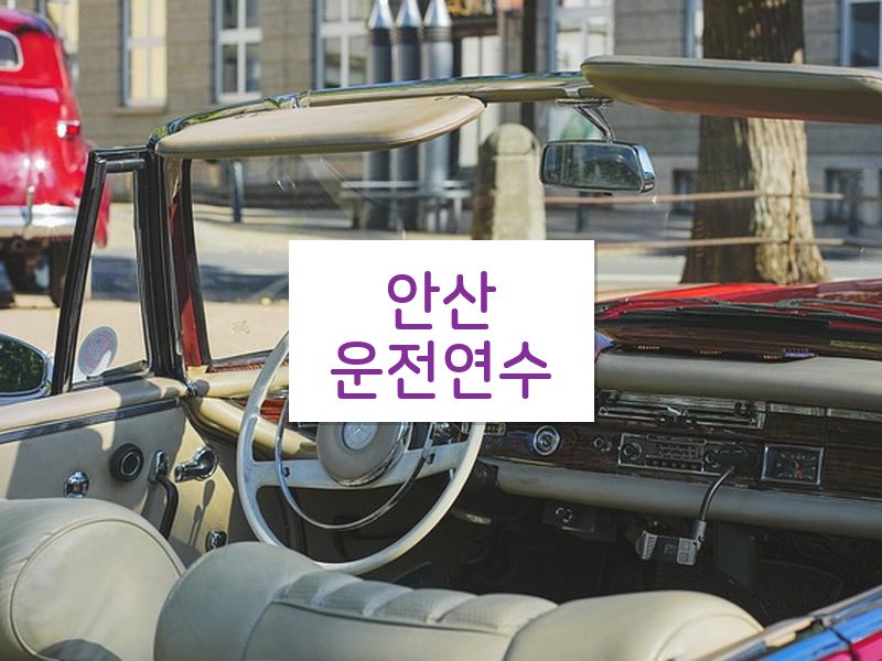안산운전연수 후기