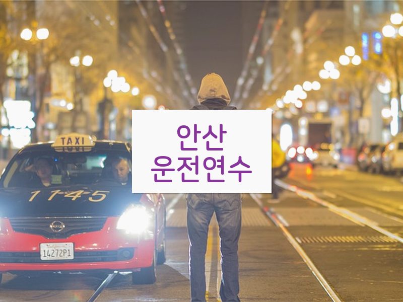 안산운전연수 후기