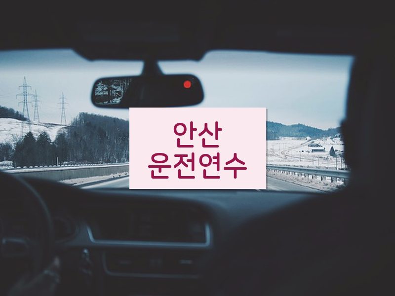 안산운전연수 후기