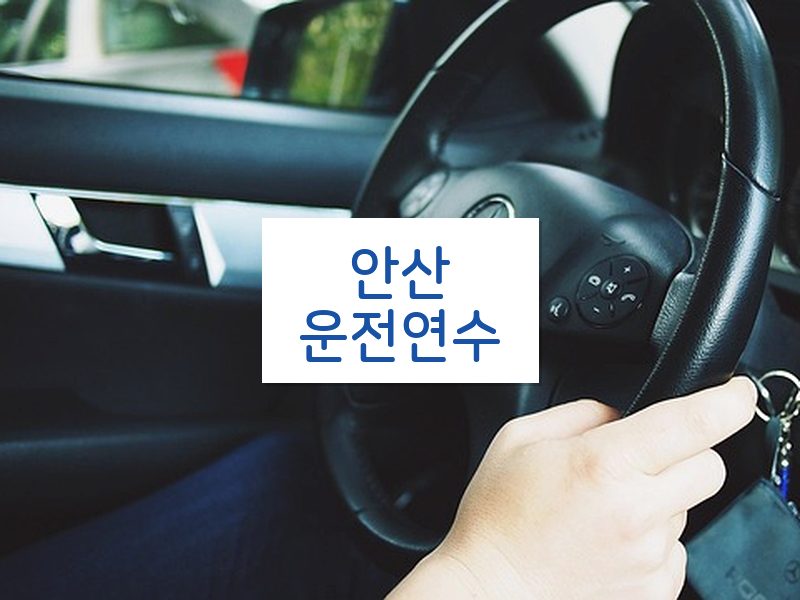 안산운전연수 후기