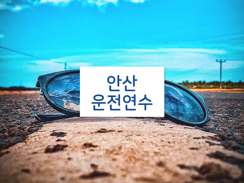 안산운전연수 후기
