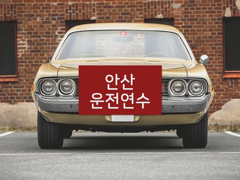 안산운전연수 후기