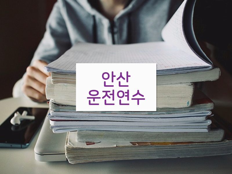 안산운전연수 후기