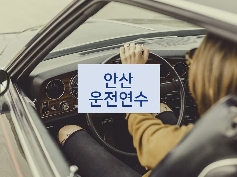 안산운전연수 후기