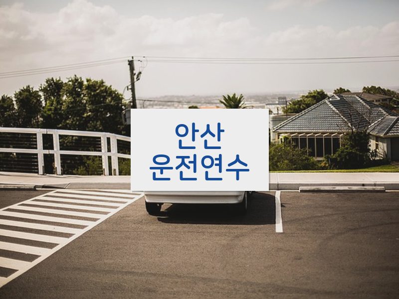 안산운전연수 후기
