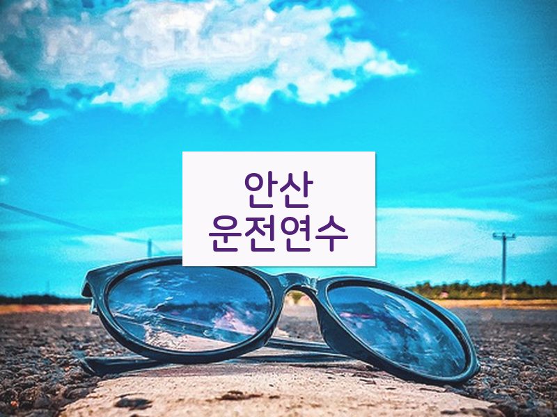 안산운전연수 후기