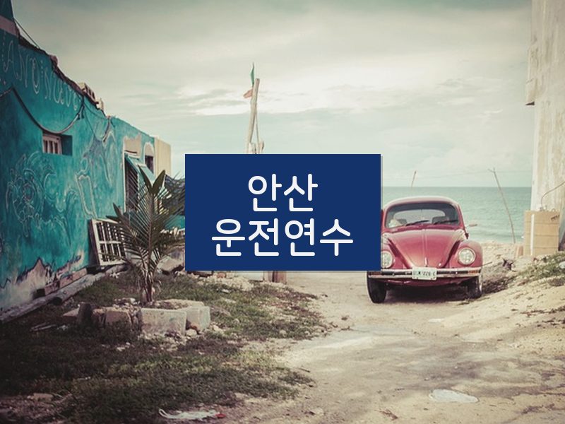 안산운전연수 후기